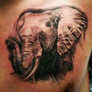 #onyxtattoo #belgrade #beograd #tattoo #tetovaze #tetoviranje #ink #cover #elephant