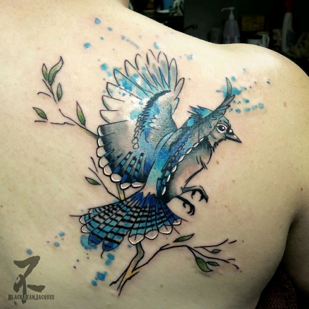 Blue jay tattoo on the inner forearm