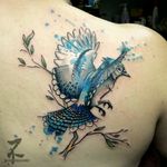 Blue jay #birds #jay #bluejay #bluebird #geai #flying #perching #colortattoo #graphictattoo #watercolor #blue  #watercolortattoo #tattoo #tatouage #couleur #colourful #naturelovers #tatts #tattoos #tattooartist #zeldabjj #zeldablackjeanjacques #womantattoo #tattoomagazine #tattooart