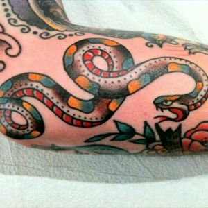 So many snakes in this world so I'm getting one like this