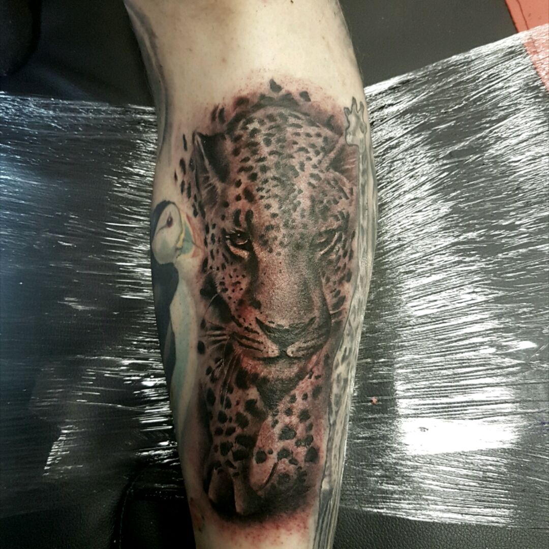 Tattoo uploaded by Gemma Horrors Leigh • Shin leopard