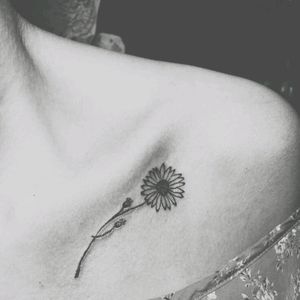 #tatoo #love #margaritaflower #blackAndWhite #Black #flowertattoo #tattooedwoman #woman #mujer #claviculas #Clavicle
