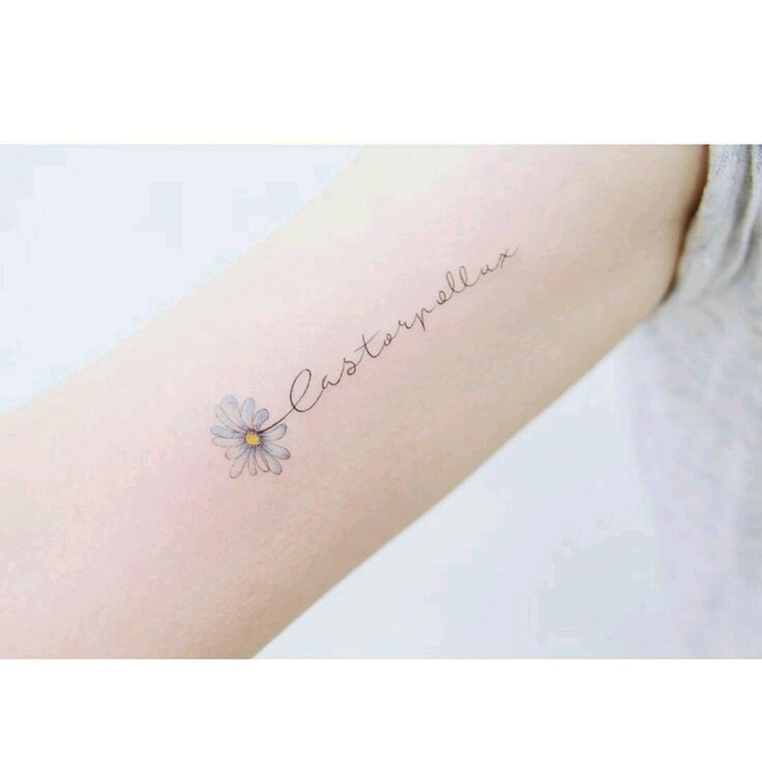 10 Best Margarita tattoo ideas  daisy tattoo flower tattoos daisy flower  tattoos