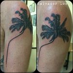 #palm #naturetattoo #srcamaleon #Salvadorloz #blackandgrey #blackandgreytattoo #cancun #tattooartist  desde cancun mexico