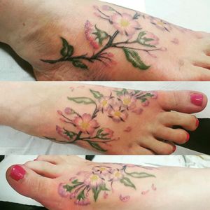 Soft watercolour style cherry blossoms. #tattooapprentice #tattoo #tattoodesign #cattattoo #girltattoo #ladyheadtattoo #ladyfacetattoo #cattattoo #cattoo #