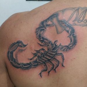 #tattooescorpiao #tattooblackandgrey #tattooscorpion