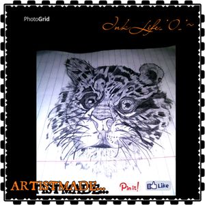#Babytiger cub tattoo sketch up. supported by  #photoGrid  InkLife101 ~ follow me && like for support still learning 😁🙏😉  the little things about tattooing...