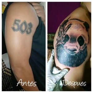 Cover up Oso pandaBy Diego Herrera