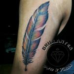 Phoenix feather tattoo #feather #feathers #coloredtattoo #phoenix