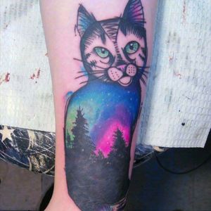 Water color northern lights cat