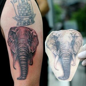 #tattooelefant #elephant #Turkish