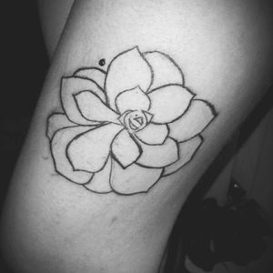 #suculenta #linework #flower #Black tattoo of my sukulent, today is her second birthday!by SHENZY
