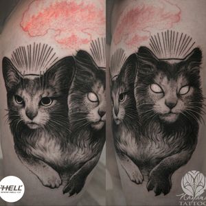 Dark nuclear cat twins 🌘😼😸🌒 #darktattoo #darkartists #blackworkers #cat #twins #nuclear #demonic #blackandgrey  #follow #nayanatattoo #originalartworks #weloveFollow my work on fb / insta / tattoodo 👉 @nayanatattoo