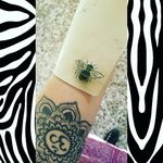 🐝Bee Tattoo🐝 Im learning yet^^ #tete #apprenticetattoo #tattoo #tattoos #bee #personal #ink #om #budishm #cute #abeja