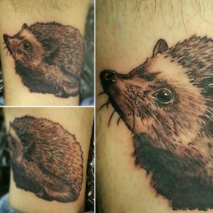 Hedgehog tattoo. Black and grey with white highlights.