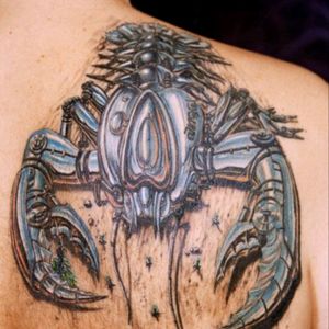 Love this scorpio tat