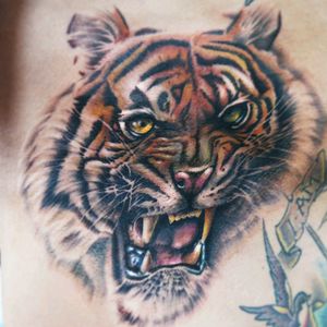 #tiger #tigertattoo #ribstattoo #angry #animal #wildlife #yarotattoo #tattoo #realistictattoo