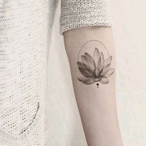 By #Iosep #lotusflower #xrayflower #lotus #xray