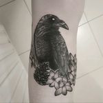 Crow on left shin. Done by Peppe Galla at ADHD Tattoo in Cork. #crow #crowtattoo #raven #acorn #flower #flowers #bluebells #blackwork #blackworktattoo #ireland