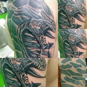 Cover up by Evo Po