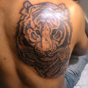 #tigertattoo #tattoos #blackngreytattoo #bowelink #Balinese #indonesian