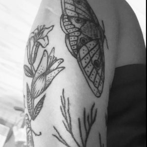 Last side of my arm with #lilies and a #moth in #blackwork Artist instagram: #mydadwasaparatrooper#montreal