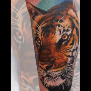 #whitfieldtattoos #devontattoo #tattoos #tattoo #tiger #tigertattoo #realism #realistic