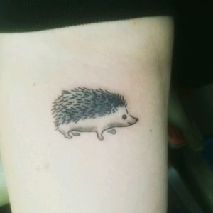Small hedgehog done on 1/20 by Brian Rankin at Nice Ink in Canonsburg PA #hedgehog #smalltattoo #blackink