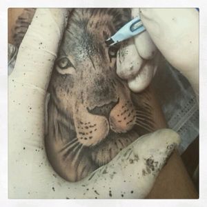 #tattoo #blackandgrey #lion