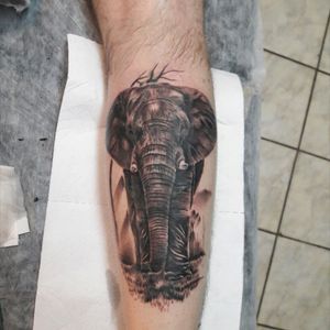 #tattoo #blackandgrey #elephant