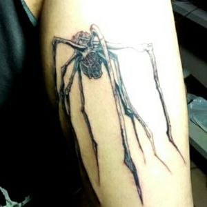 #spider #insect #legs #blackworktattoo #blackink #dotwork