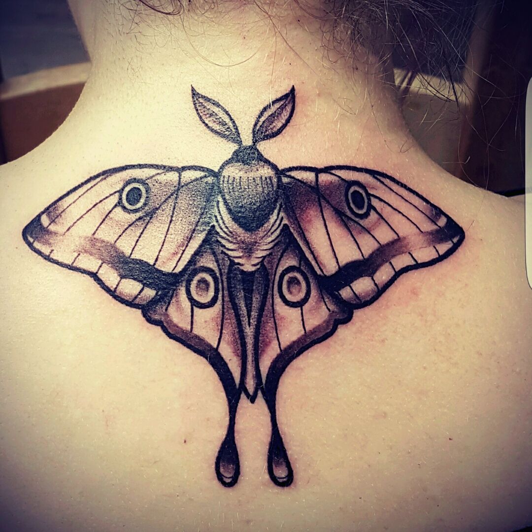 Lunar moth done by Cesar Cabrera at nite owl gallery tattoo San Diego IG  vitenebris  Moth tattoo Tattoos Body art tattoos