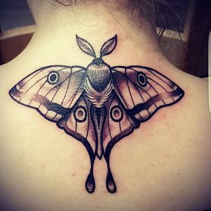 my newest tattoo .. neo traditional moon moth on my neck/ back