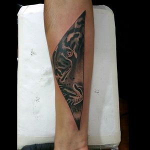 @baduta2 #blackandwhite #tattoo #tigers #tattootigers #tattoo #tattoos #tat #ink #inked  #tattooed #tattoist  #art #design #sleevetattoo #handtattoo  #photooftheday #tatted  #bodyart #tatts #tats #amazingink #tattedup #inkedup #eternalinks #tatuajeshbogota #f4fb #tattooblack #tigres #tatuajetigre #thebestcolombiantattooartists
