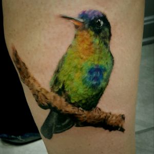 Realistic Hummingbird tattoo.