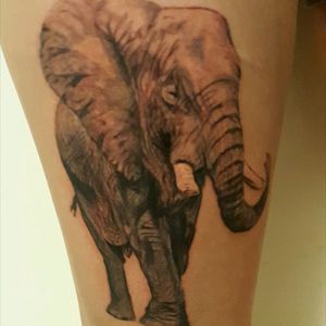 Realistic elephant tattoo.