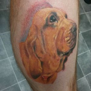 Bloodhound pet portrait. Still a little red in pic.