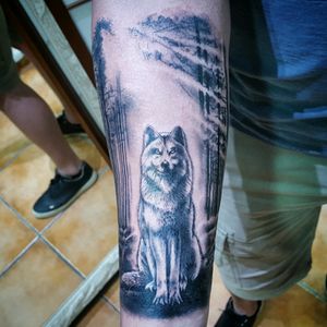 Black and Gray wolf in the forest. Tattoo I did in Brazil Follow me 👉@alexandrerodrigues_t2  #realism #blackandgrey #fineart #tattoooftheday