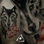 Wolf by @RafXimenes7 #wolf #lobo #dotwork #pontilhismo #tatuadoresdobrasil #RafXimenes #amazing