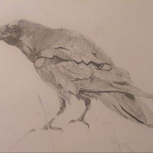 He drew a crow in pencil#crow