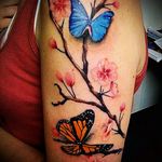#tattooflowers #butterflytattoo #nature #naturetattoo #Butterflies #butterfly #flowers #upperarmtattoo #japaneseflower #SakuraTattoo #flowersandbutterflies #butterfliestattoo 🌸🌸🌸🌺