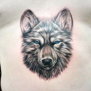 #wolftattoo #wolf #thailand #tattoo