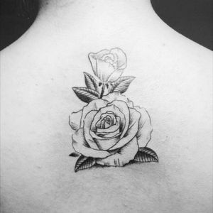 #rose #blackAndWhite #lovingthis #goformore