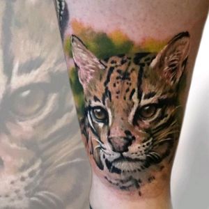 Had great fun with this tattoo of an ocelot #ocelot #cat #cattattoo #realism #realistic #whitfieldtattoos #lovecats