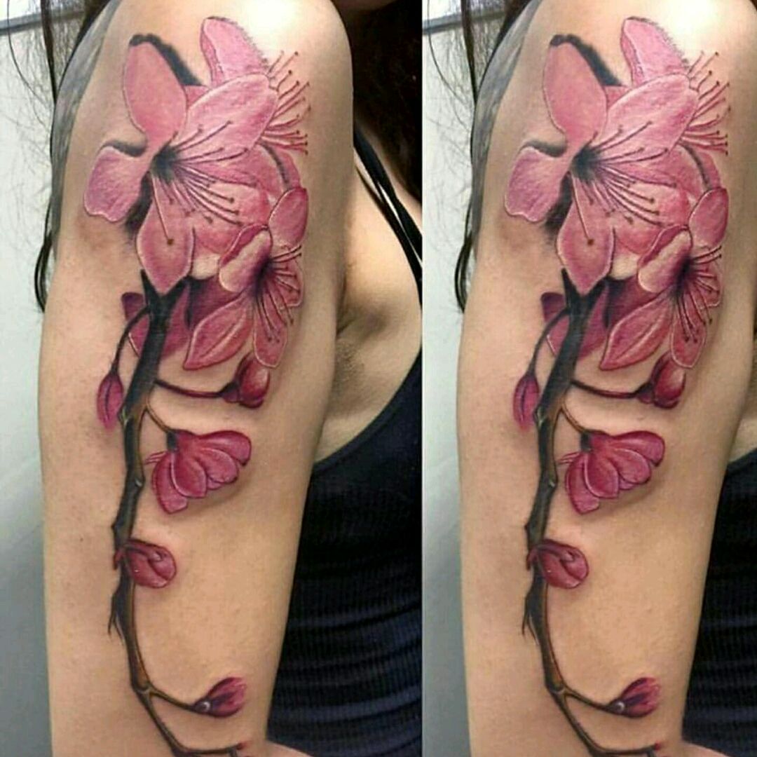 Artrageous tattoos  another stunning floral piece with script done by  tamibiddulph to make a booking with her contact us at  bookingsartrageouscoza artrageousart balmtattooafrica made with  bluebirdsa balmtattoo dragons blood butter dragons