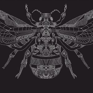 This is a tattoo design i have designed of a bee inspired by mandalas and patterns
