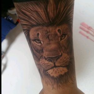 #lion #liontattoo #armband #blackandgreytattoos #realistic #blackandgrey