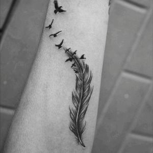 Feather Tattoo#feathertattoo #feathers #blackandgrey #tattoo #birds #bhaveshkalma