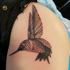 #blackandgrey #realism #hummingbirdtattoo #inkjecta #tattoosforwomen