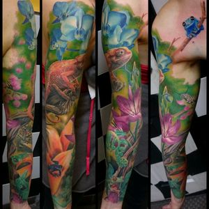 Healed apart from blue frog and top green background